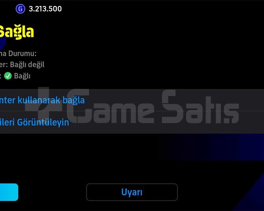 3195kg mainlik hesap
