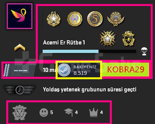 FACEİT+22K OYUN+6 MADALYA 259 WİN 747 SAAT SEÇKİN