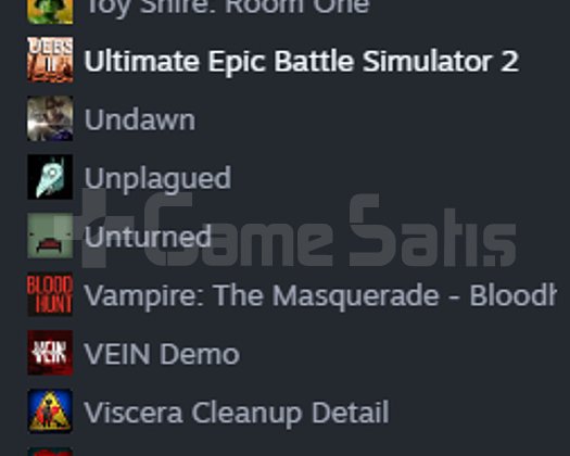 DOPDOLU BİR STEAM HESABI