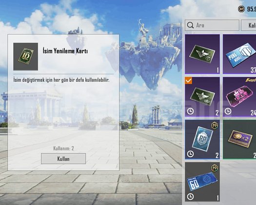 TEK BAĞ !! PLATİN V + ID KARTI ++