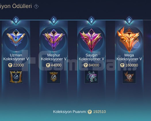 Uygun Mega Koleksiyoner Hesap