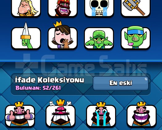 11500 Kupa 56 LV 10 Yıllık Hesap 14 Evrimli