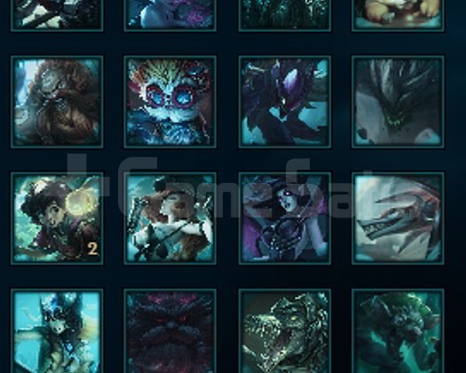 EUW PLAT ACC 30LP GAİN