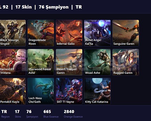 TR / 92 LVL + 17 SKİN + IRON I !!