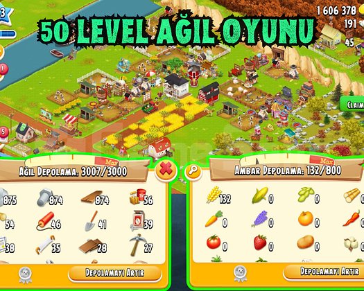 GARANTİLİ 50 LWL 3000 DEPO AĞIL DOLU OYUN