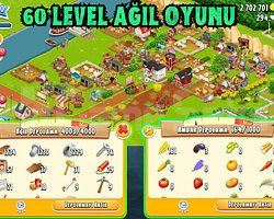 GARANTİLİ 60 LWL 4000 DEPO AĞIL DOLU OYUN