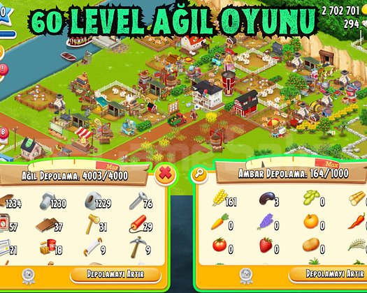 GARANTİLİ 60 LWL 4000 DEPO AĞIL DOLU OYUN
