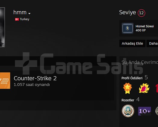 4 MADALYALI 1050 SAAT CSLİ 12 LVL STEAM