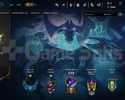 WEST PLAT 4 HESAP 30 LP GELİYOR