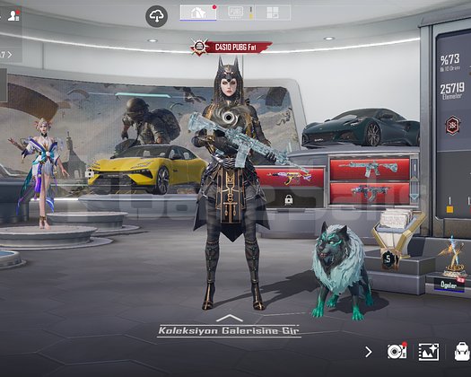 17 Kill Chat + 2 SPOR ARABA ACİL SATILIK