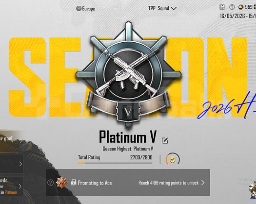 TEK BAĞ !! PLATİN V  + ID KARTI ++