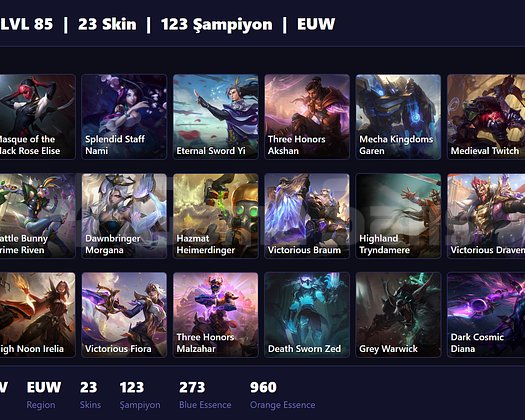 EUW / 85 LVL + 23 SKİN + SILVER IV !!