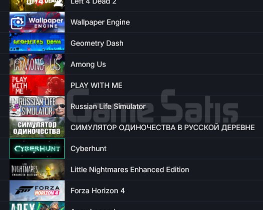 RAFT ETS 2 Dying Light 8750 TL STEAM OYUN ENVANTER
