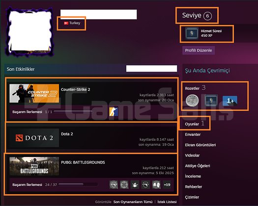 8.146 DOTA 2 SAAT 1179 İTEMLİ 1247 MMR MAİLLİ MAİN