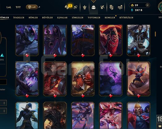 898 LEVEL + 422 KOSTÜM + 172 HERO + MAİL + TEL!