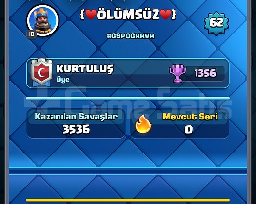 11322 kupa / 62 seviye hesap