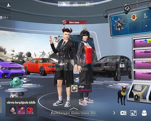 Nadir Kombinlik PUBG Mobile Hesap