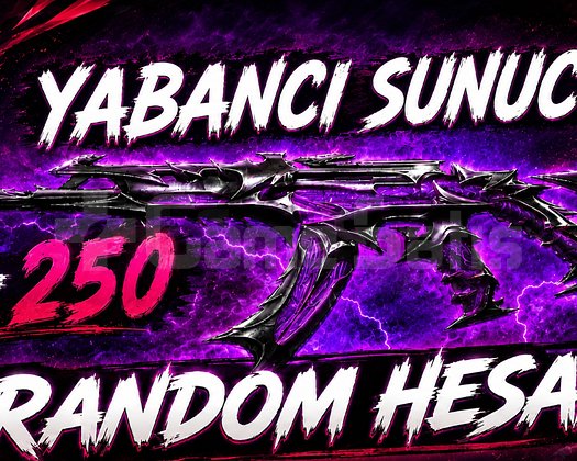 VALORANT YABANCI SUNUCU 10-250 SKİN RANDOM HESAP