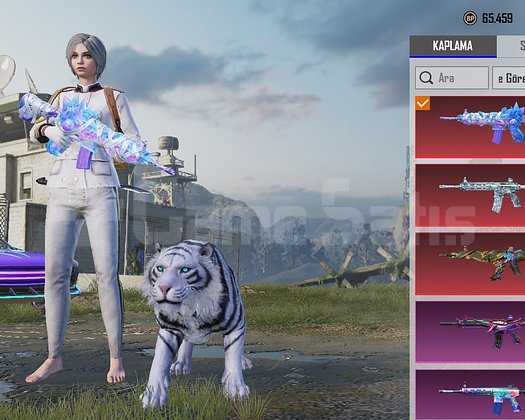 4 tane M4 maxxx formuz hesap