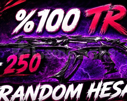 TR Sunucu | 10-250 Skin Valorant Random Hesap