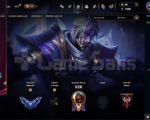 296 level diamond 4 hesap arcane jinx 81 skinli