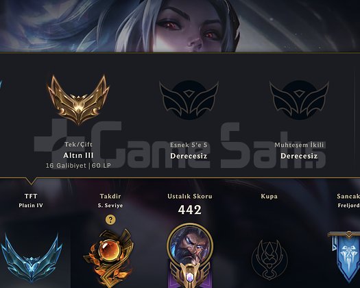 EUW 319 SKIN HESAP