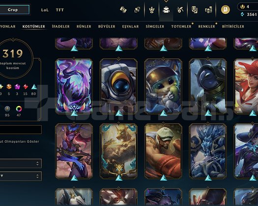 EUW 319 SKIN HESAP