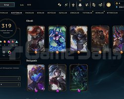 EUW 319 SKIN HESAP