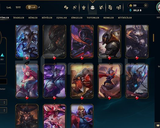 TR + 356 LVL + 137 KOSTÜM + PLATİN 2 + MAİL + TEL!