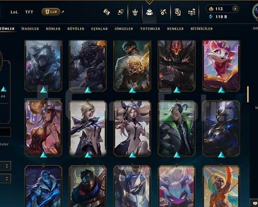 392 LVL + 109 KOSTÜM + 172 HERO + GÜMÜŞ 1 + MAİL!