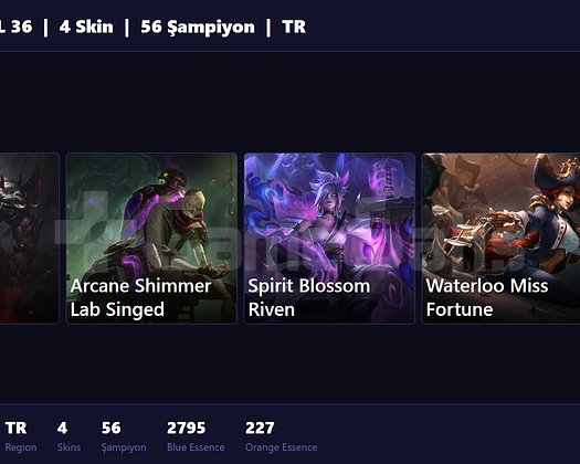 TR / 36 LVL + 4 SKİN + IRON I !!