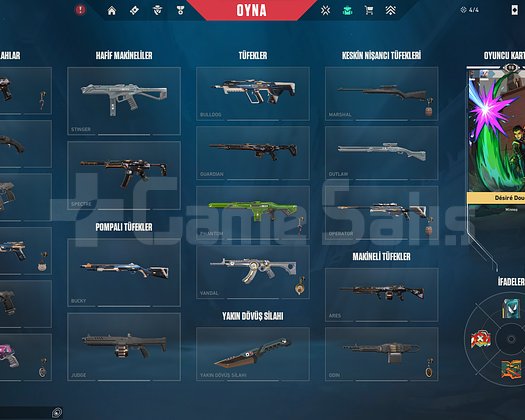 PLATİN 2 HESAP MAIL DEĞİŞENLİ SKİNLİ TEMİZ HESAP