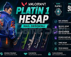 PLATİN 2 HESAP MAIL DEĞİŞENLİ SKİNLİ TEMİZ HESAP