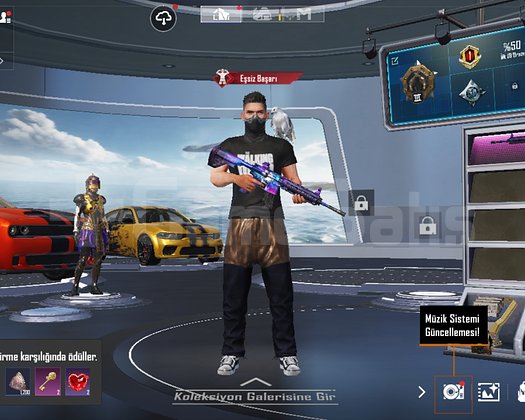 Firavunlu 72 lvl 51 kol nadir hesap