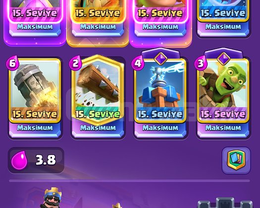 70 LEVEL 12 KARAKTER MAX 20 EVRİMLİ HESAP