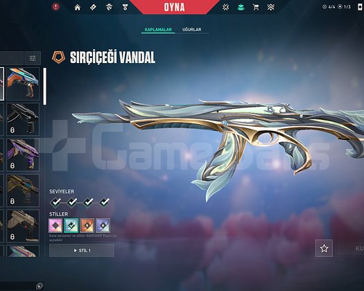 5300 harcanmış hesap