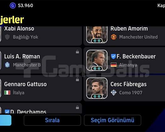 3230+KG TEK BAĞ HARİKA HESAP