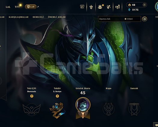 EUW Unranked | 10 Kostüm - 58 Hero | Ranked Ready