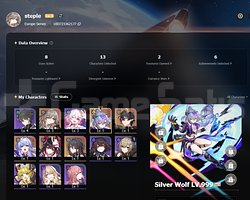 TL 3 | 5X5 Silver Wolf LV.999