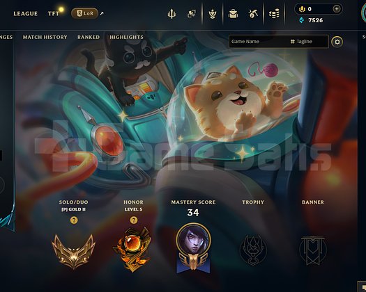 TR Gold 2 | 9 Kostüm - 51 Hero | LoL Hesap