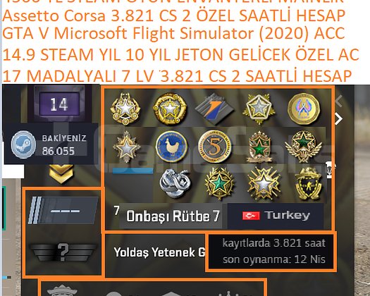 17 MADALYALI 7 LV 3.821 CS 2 SAATLİ GTA V Microsof