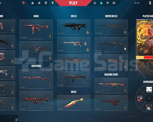 Radiant 1000+ RR Peak Account 323 Total Skins