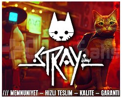 STRAY + KORUMA + HIZLI TESLİM + GARANTİ