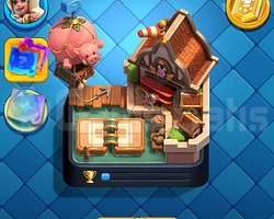 11K KUPA 6EVRİM 10YILLIK CR