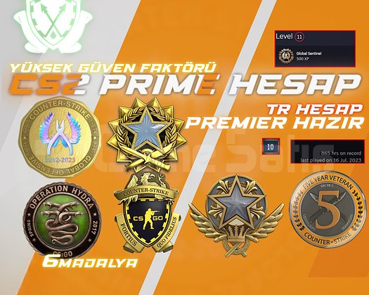 TR HESAP / 6 MADALYA +865 SAAT + FACEIT