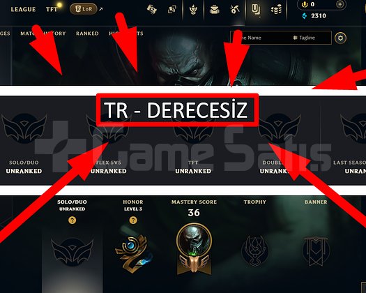 TR / 39 LVL + 1 SKİN + UNRANKED !!
