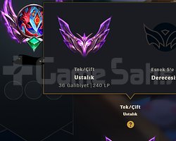 33 KUTU 35 ANAHTAR65 WR 21 KOSTÜMLÜ 240 LP