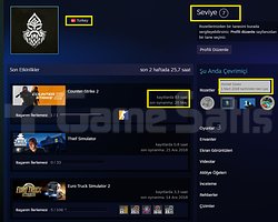 TR HESAP + 3 MADALYA+7LVL STEAM+ETS2 MAİNLİK HESAP