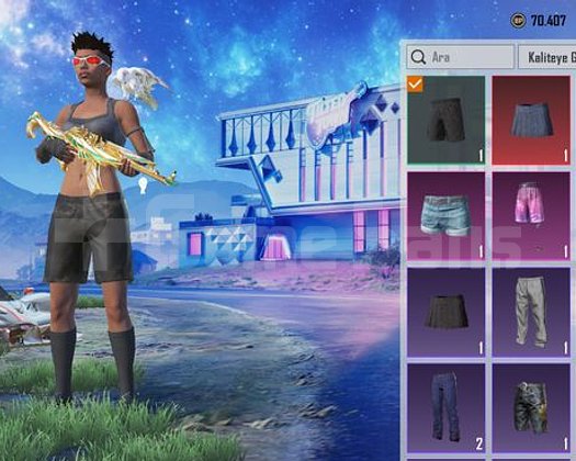 PUBG 69 KOLEKSİYON NADİR Kombin Silah 154 destansı