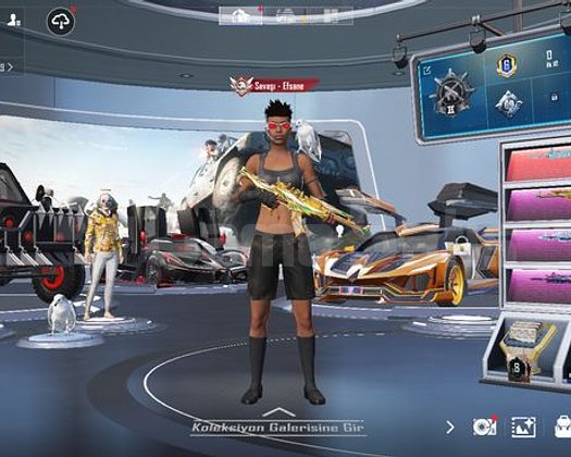 PUBG 69 KOLEKSİYON NADİR Kombin Silah 154 destansı